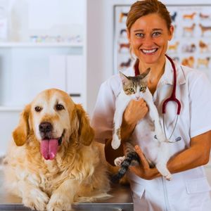 Clínicas Veterinarias en Rancagua