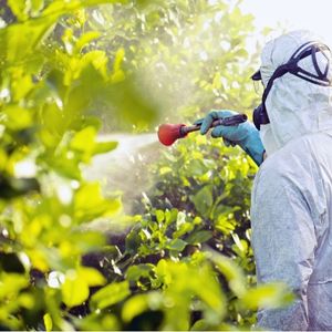 Servicios de Fumigación en Rancagua