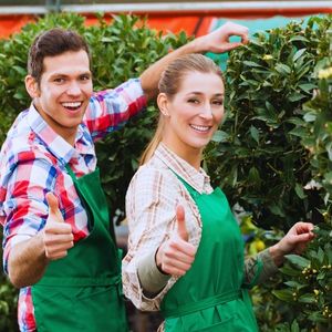 Servicios de jardinería